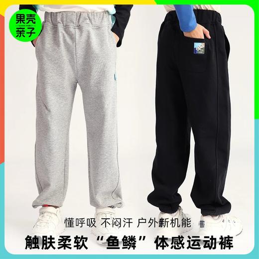 龙之涵2025年春季新品毛圈棉吸汗卫裤 商品图0