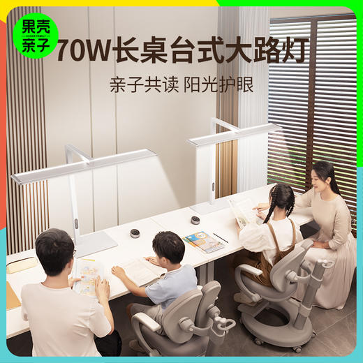 孩视宝长桌立式大路灯R01-70w 商品图0