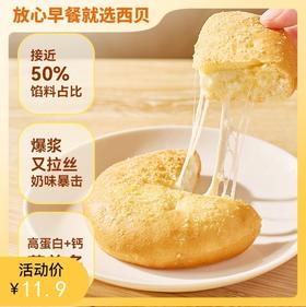 蒙古原制奶酪饼100g/160g | 紫薯原制奶酪饼100g/160g【社群】