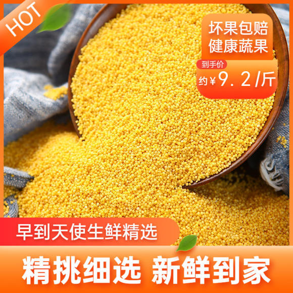 【陕北米脂小米】 农家米  现磨现发 5斤装包邮