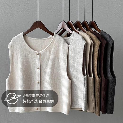 轻奢淑女风针织马甲| 圆领单排扣 宽松百搭 叠穿坎肩背心上衣【均码】 商品图0