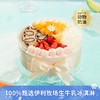 【福气四拼冰淇淋蛋糕】100%甄选伊利牧场生牛乳冰淇淋，一次品尝青柑蜜瓜/黑巧/芒果/草莓四种口味的冰淇淋（1P149.9） 商品缩略图0