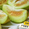 生态甜瓜（福建）| 合作生产*eco-melon | Partner Production 商品缩略图1
