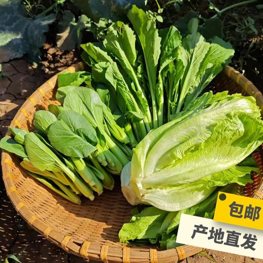 生态河南蔬菜箱（甜菜根土豆茄子小冬瓜）| 合作生产*ecological salad vegetable box  | Coproduction 商品图1