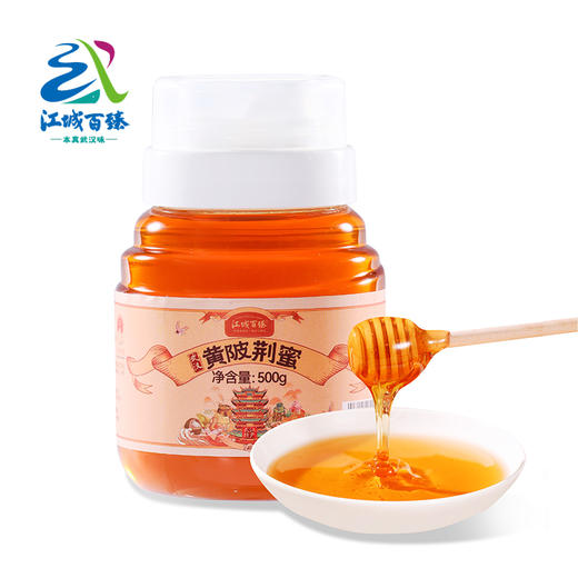 【助农】江城百臻黄陂荆蜜500g 商品图0