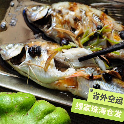 生态土鲮鱼（冷冻，广东省外可下单）  | 绿家自产 * Eco- Dace  | Self-production 商品图1