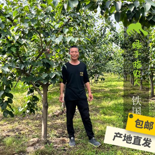 生态皇冠梨 | 合作生产 *Eco-Jade dew pear | Coproduction 商品图1
