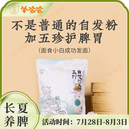 【五珍自发粉】自带酵母 温水自发 口感筋道 馒头包子蒸味即享 效期至26年4月 商品图1