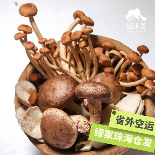 生态蘑菇份额 | 绿家自产* Share of ecological miscellaneous Mushroom | In-House Production 商品图1