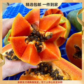 『徐闻树上熟冰糖心木瓜』生态种植丑木瓜，肉质紧致厚实，清甜舒爽，香嫩柔滑