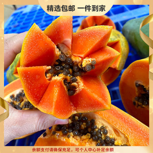 『徐闻树上熟冰糖心木瓜』生态种植丑木瓜，肉质紧致厚实，清甜舒爽，香嫩柔滑 商品图0