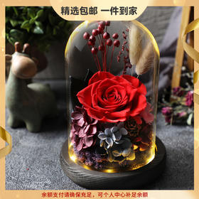 【春节不打烊 顺丰包邮】经典款 永生玫瑰花玻璃罩暖灯摆件 鲜花干花七夕情人节生日礼物创意礼品