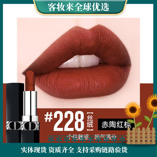 【礼物】迪奥（Dior）口红烈艳蓝金228 丝绒唇膏赤陶红棕3.5g 商品图0