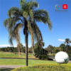 棕榈草地高尔夫球场 Palm Meadows Golf Course  | 黄金海岸高尔夫  | 澳大利亚高尔夫球场俱乐部 商品缩略图0