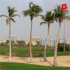 塔林克斯高尔夫俱乐部 Tower Links Golf Club   | 哈伊马角高尔夫 | 阿联酋高尔夫球场俱乐部｜中东高尔夫 商品缩略图0