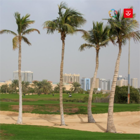 塔林克斯高尔夫俱乐部 Tower Links Golf Club   | 哈伊马角高尔夫 | 阿联酋高尔夫球场俱乐部｜中东高尔夫