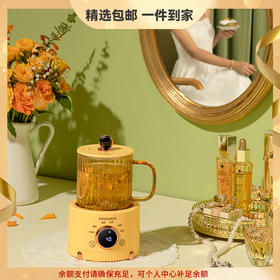 大宇电炖养生杯办公室小型煮茶器多功能加热杯迷你养生壶 心选到家