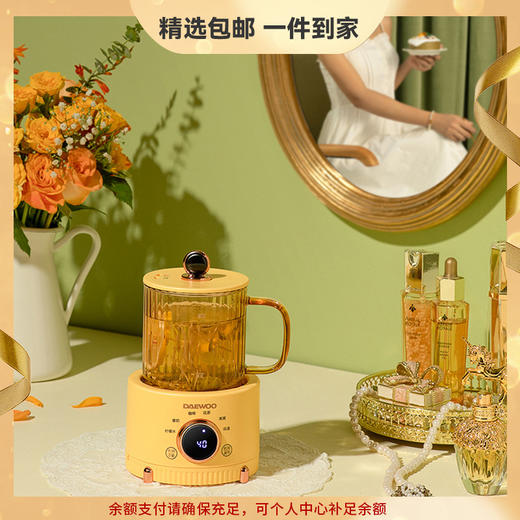 大宇电炖养生杯办公室小型煮茶器多功能加热杯迷你养生壶 心选到家 商品图0