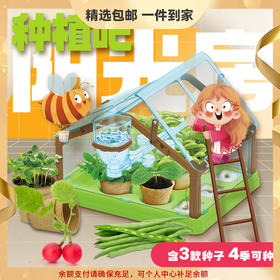 【精选包邮】 儿童植物观察窗种子盒 种植阳光房玩具