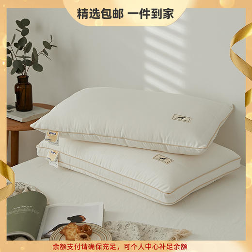 【小红书推荐】大豆纤维整张热熔棉枕芯 心选到家 商品图0