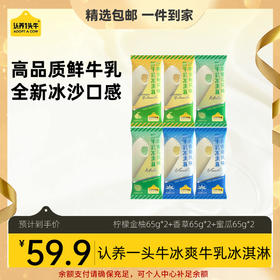 【团长专属福利-新品上新】【冰爽系列】认养一头牛冰淇淋65克/支
