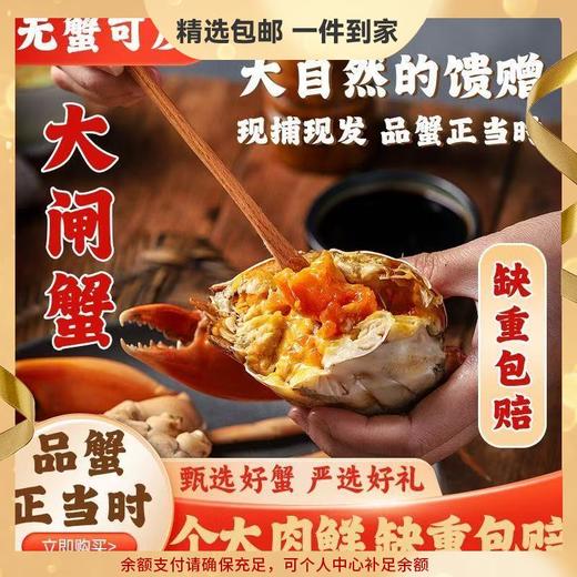 【大闸蟹卡券❗️9月下旬开湖兑换】阳澄湖大闸蟹，肉质饱满嫩滑，满载江南美食之味。口感鲜美爽滑，营养丰富滋味浓郁。售后质量全保障，中秋送礼佳品，阳澄湖基地直发，爆品爆款礼盒套装L 商品图0
