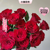 【次日达】高原红玫瑰（10支）丝绒质感 鲜艳夺目 商品缩略图0