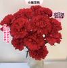 【次日达】单头红色康乃馨 （10支） 深爱与钦佩 众神之花 商品缩略图0