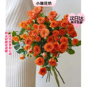 【次日达】橙多头玫瑰（5支）勇敢挑战  勇往直前
