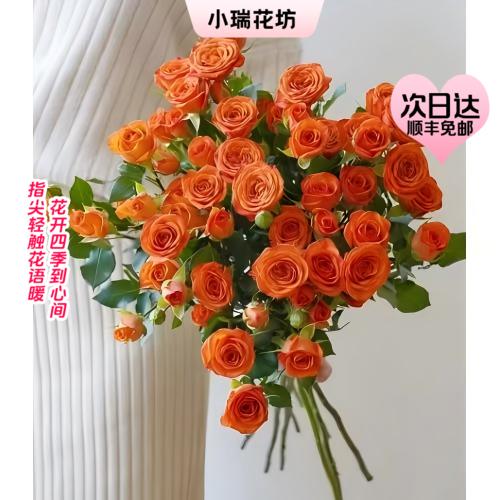 【次日达】橙多头玫瑰（5支）勇敢挑战  勇往直前 商品图0