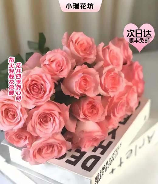 【次日达】戴安娜玫瑰（10支）幸福与欢乐 优雅与温柔 商品图0