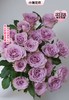【次日达】紫霞玫瑰（10支）端庄大方的复古风情 商品缩略图0