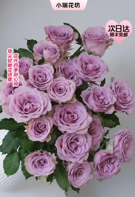 【次日达】紫霞玫瑰（10支）端庄大方的复古风情 商品图0