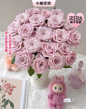 【次日达】甜蜜曼塔（10支） 梦开始的地方