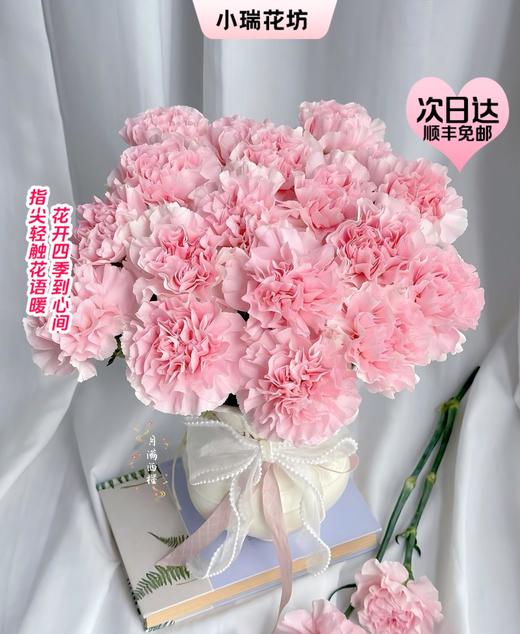 【次日达】单头樱花康乃馨 （10支） 少女心爆棚 内心深处的一份柔软 商品图0