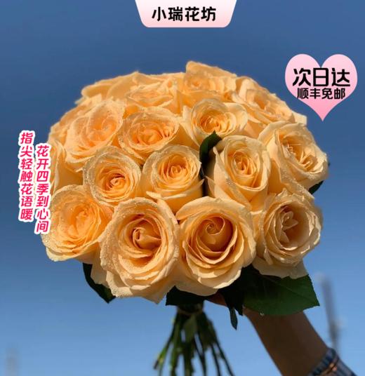 【次日达】香槟玫瑰（10支）钟情唯一 优雅与沉着 商品图0