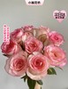 【次日达】爱莎玫瑰（10支）玫瑰中的“劳斯莱斯” 商品缩略图0