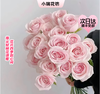 【次日达】粉雪山玫瑰（10支）花语初恋、优雅高贵、感谢 商品缩略图0