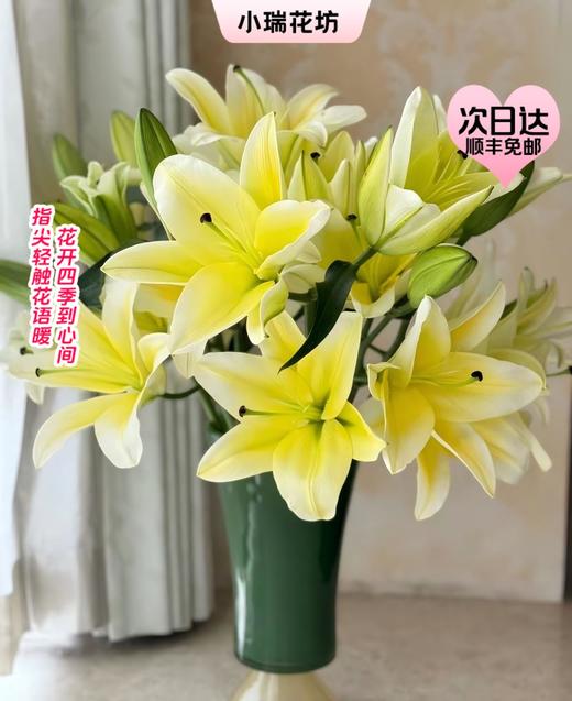 【次日达】双头黄百合（3支）忍耐和坚韧 高贵而不失温柔 商品图0