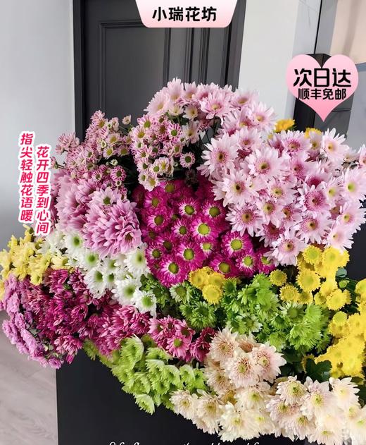 【次日达】各色小雏菊（5支随意组合） 隐藏的爱 点缀首选 商品图0