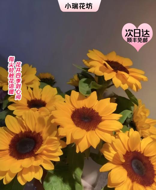 【次日达】向日葵（5支)  向阳而生 阳光明亮 商品图0