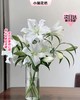 【次日达】双头白百合（3支）纯洁、庄严 香味满溢 商品缩略图0