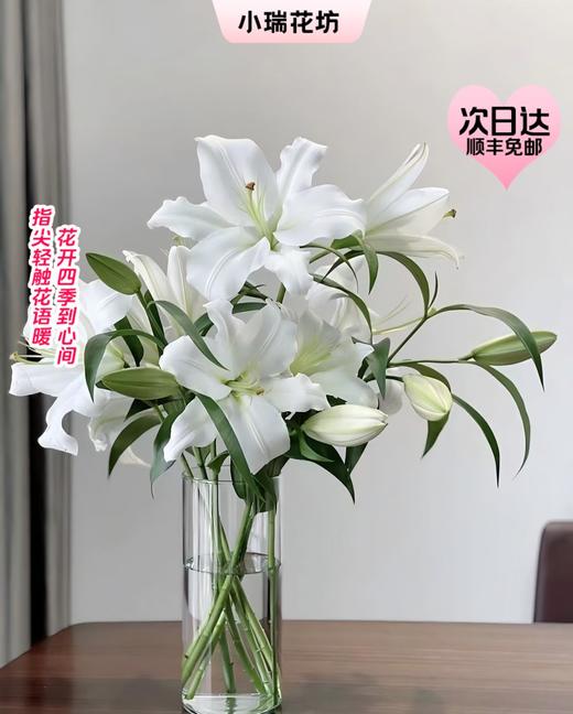 【次日达】双头白百合（3支）纯洁、庄严 香味满溢 商品图0