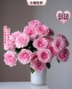 【次日达】洛神玫瑰（10支）洛神仙子  仙气飘飘 商品缩略图0