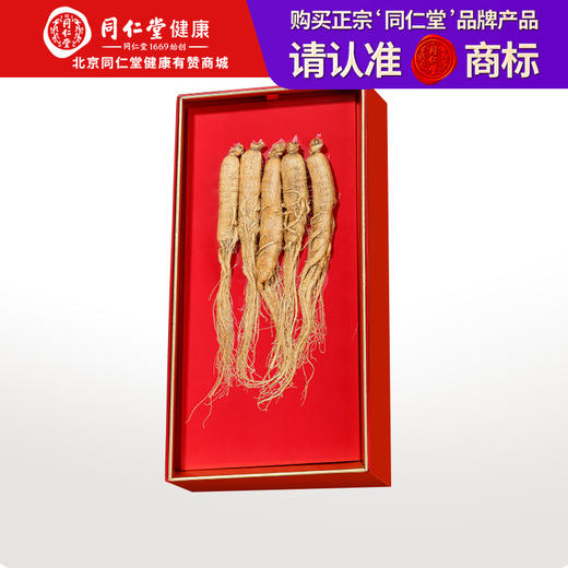 【正宗同仁堂品牌】北京同仁堂 整棵干制人参 多支100g 送礼盒 长白山选材 形态饱满 优选比例SY 商品图0