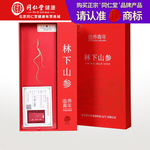 【正宗同仁堂品牌】北京同仁堂 人参 林下山参礼盒1-1.5g/A 林下山参礼盒 泡酒 滋补礼品SY 商品图0