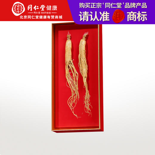 【正宗同仁堂品牌】北京同仁堂 整棵干制人参50g礼盒装（2支装）辽宁人参 整枝人参礼盒 煲汤滋补品SY 商品图0
