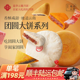 嘉华月饼 团圆大饼 多口味可选400g