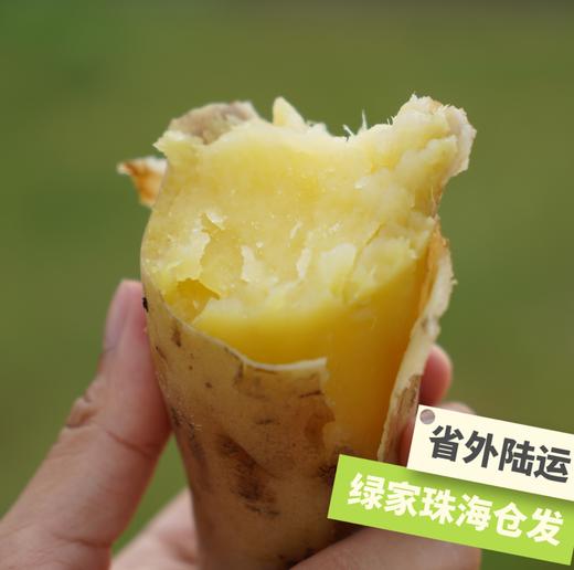 生态红薯（多品种：本地白、哈密白、一点红、玛莎莉、鸣门金时） | 绿家自产*Eco-sweet potato | Self-production 商品图1