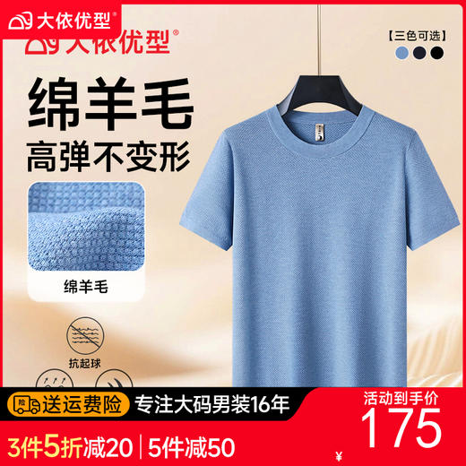 【绵羊毛】【DG】大依优型大码男装菠萝纹圆领短袖毛衣加肥加大码宽松毛线衫内搭针织衫男士上衣 商品图0